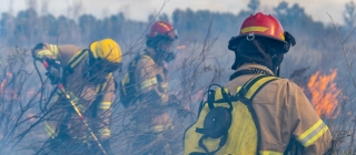 El Gobierno aprueba el nuevo estatuto para los bomberos forestales
