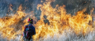 Los bosques de España continúan siendo los más afectados de Europa por incendios en 2023