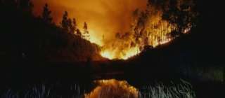 Bomberos de la Generalitat ayudarán a investigar los incendios de Portugal