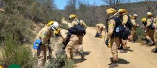León reúne a más de 400 bomberos en un simulacro contra incendios forestales