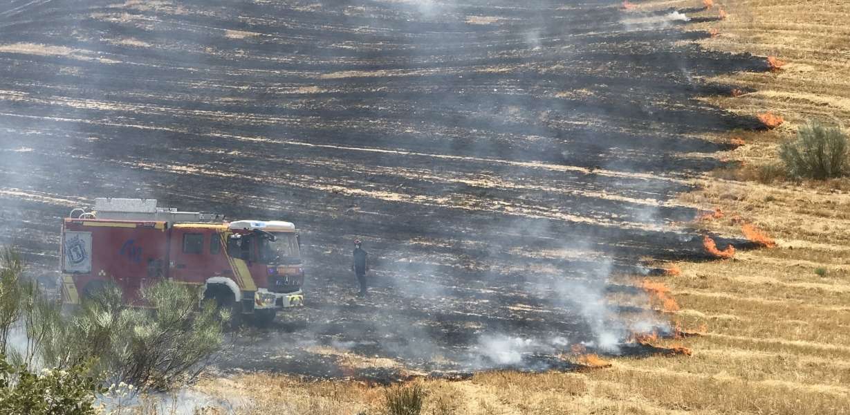 Reportaje: Incendios de pastos y vegetación 