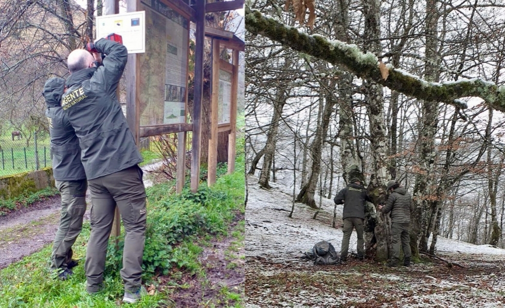 El Principado de Asturias instala cámaras para luchar contra los incendios forestales
