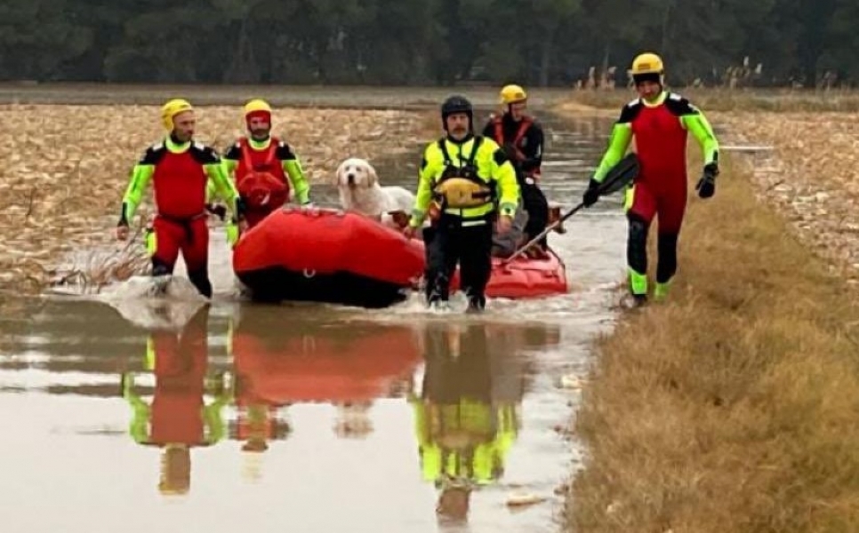 Bomberos de Zaragoza muestran el trabajo de la Especialidad de Salvamento Acuático