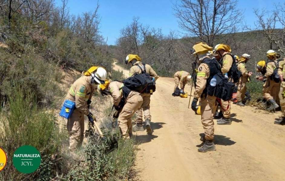 León reúne a más de 400 bomberos en un simulacro contra incendios forestales