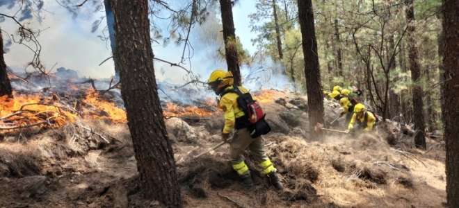 El Cabido de Tenerife da por extinguido el incendio forestal