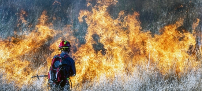 Los bosques de España continúan siendo los más afectados de Europa por incendios en 2023