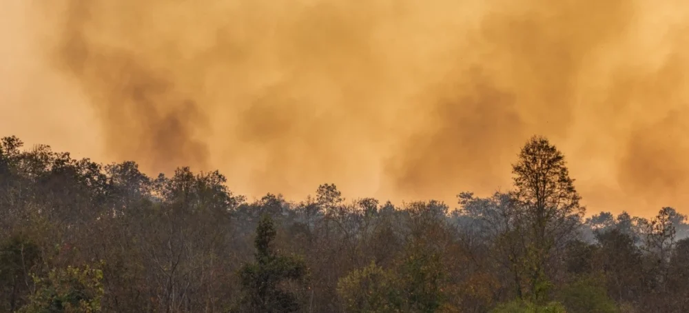 El humo de los incendios de Canadá llega a España