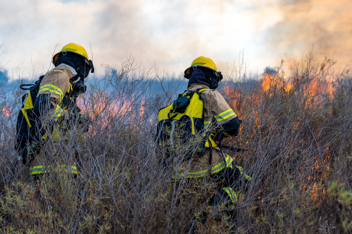 Los bomberos forestales de Madrid amenazan con ir a la huelga en plena ...