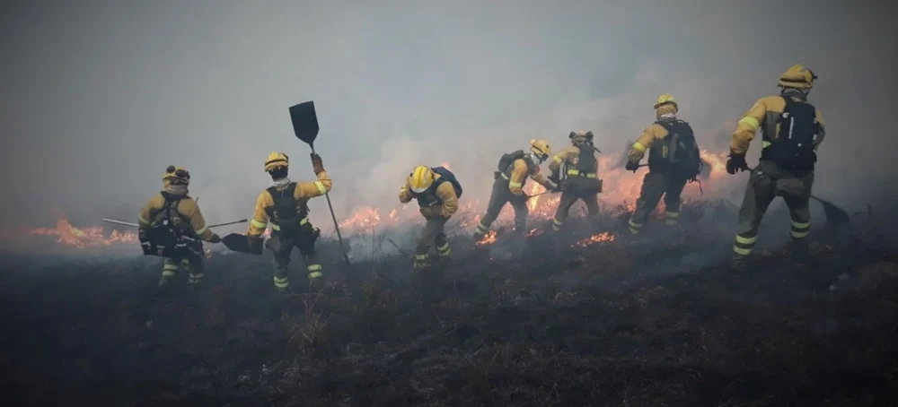 Bomberos forestales